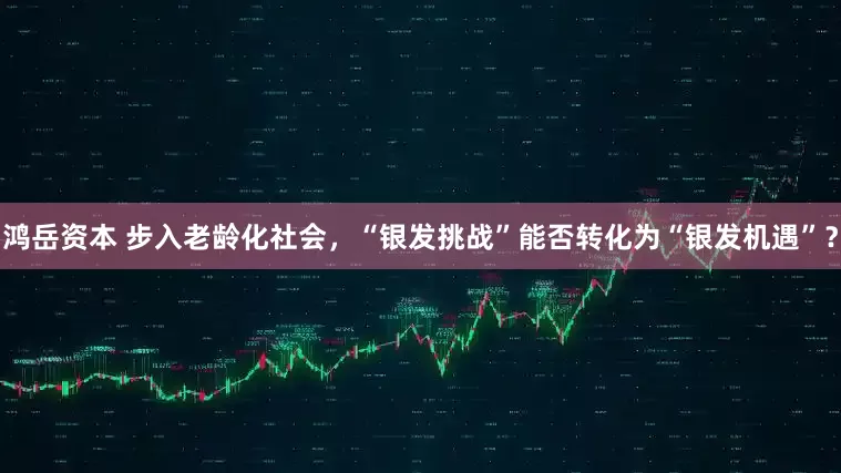 鸿岳资本 步入老龄化社会，“银发挑战”能否转化为“银发机遇”？
