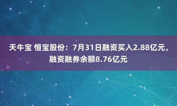 天牛宝 恒宝股份：7月31日融资买入2.88亿元，融资融券余额8.76亿元